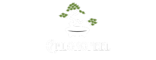 Chlorofeel