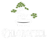 cropped-Chlorofeel-Logo.png